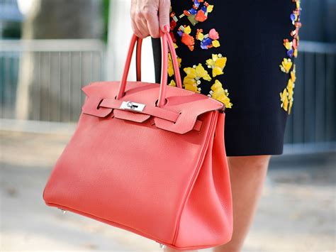 bags similar to hermes birkin.